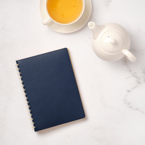 Ежедневник Vista недатированный, синий/бежевый 