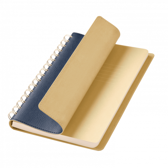 Ежедневник Vista недатированный, синий/бежевый 