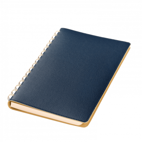 Ежедневник Vista недатированный, синий/бежевый 