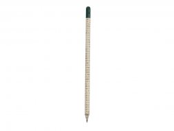 Растущий карандаш с семенами гвоздики