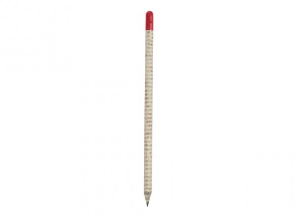 Растущий карандаш с семенами гвоздики 