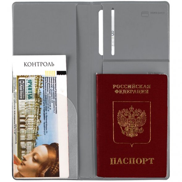 Дорожный органайзер Dorset, серый 