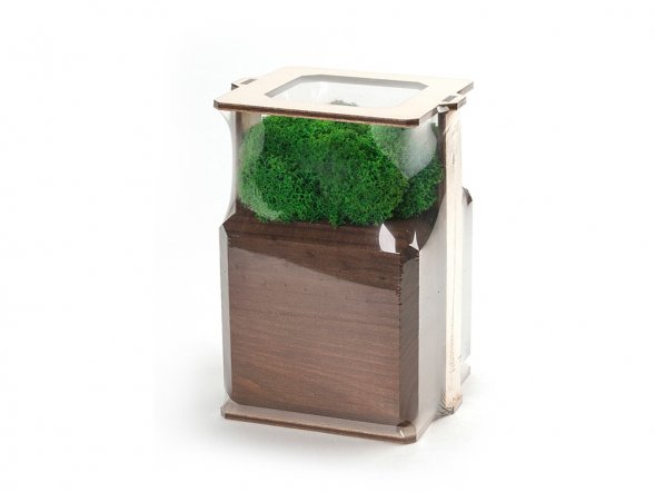 Композиция Мох в интерьере мокко, зеленый 