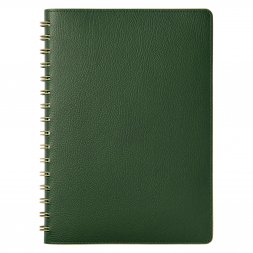 Ежедневник Vista недатированный, зеленый/салатовый