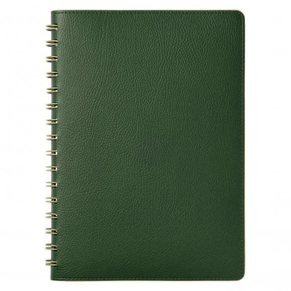 Ежедневник Vista недатированный, зеленый/салатовый 