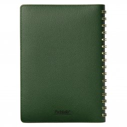 Ежедневник Vista недатированный, зеленый/салатовый