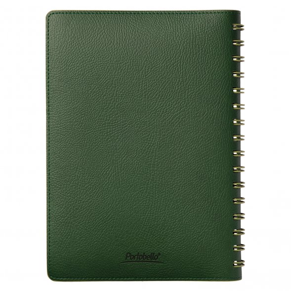 Ежедневник Vista недатированный, зеленый/салатовый 