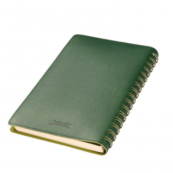 Ежедневник Vista недатированный, зеленый/салатовый 