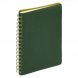 Ежедневник Vista недатированный, зеленый/салатовый 