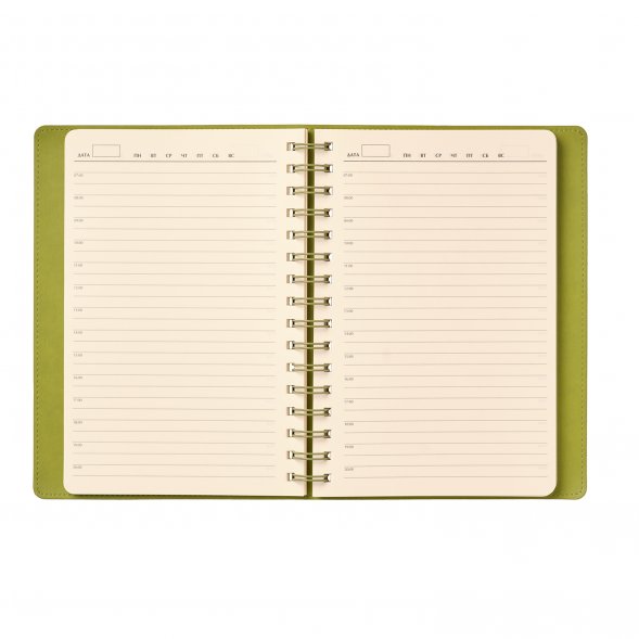 Ежедневник Vista недатированный, зеленый/салатовый 