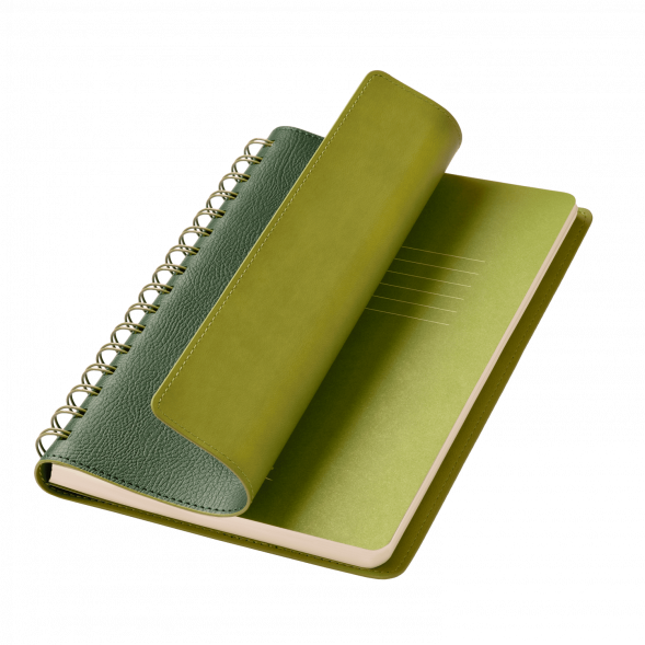 Ежедневник Vista недатированный, зеленый/салатовый 