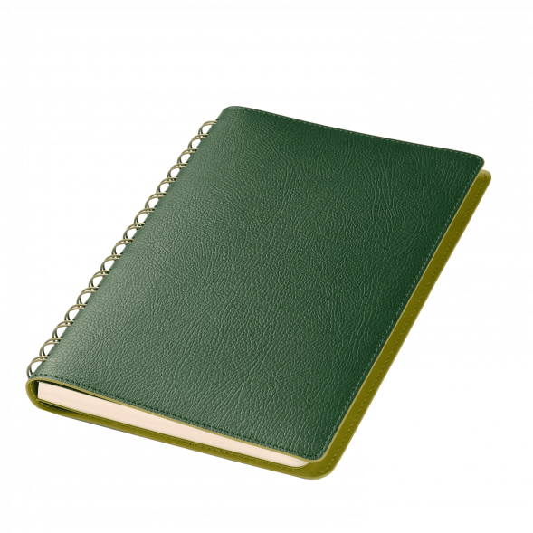 Ежедневник Vista недатированный, зеленый/салатовый 