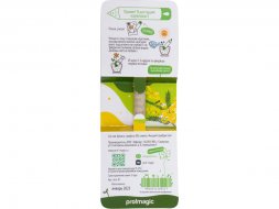 Растущий карандаш mini Magicme (1шт) - Акация Серебристая