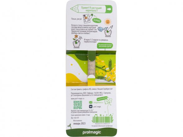 Растущий карандаш mini Magicme (1шт) - Акация Серебристая 