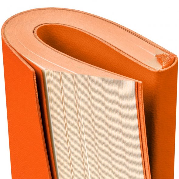 Ежедневник Flat Mini, недатированный, оранжевый 