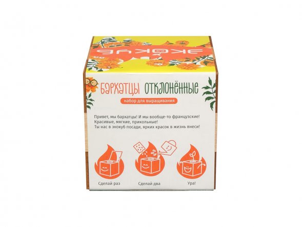 Набор для выращивания Экокуб Magicme Бархатцы 