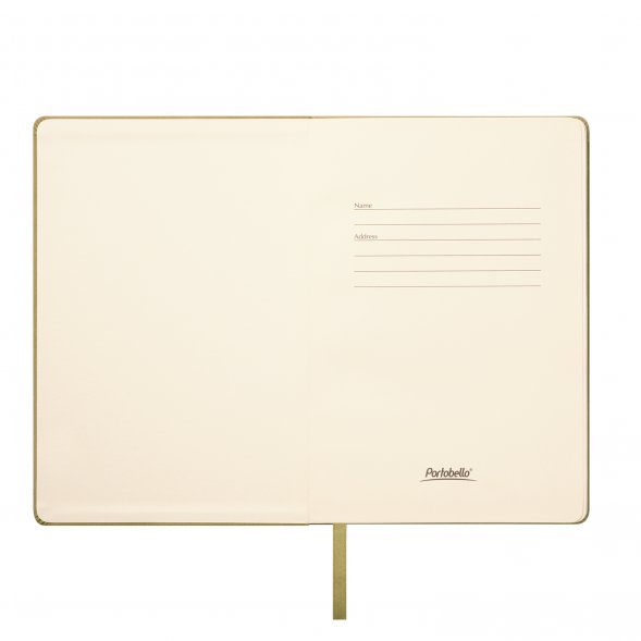 Ежедневник Stella недатированный с магнитом на обложке, светло-зеленый 