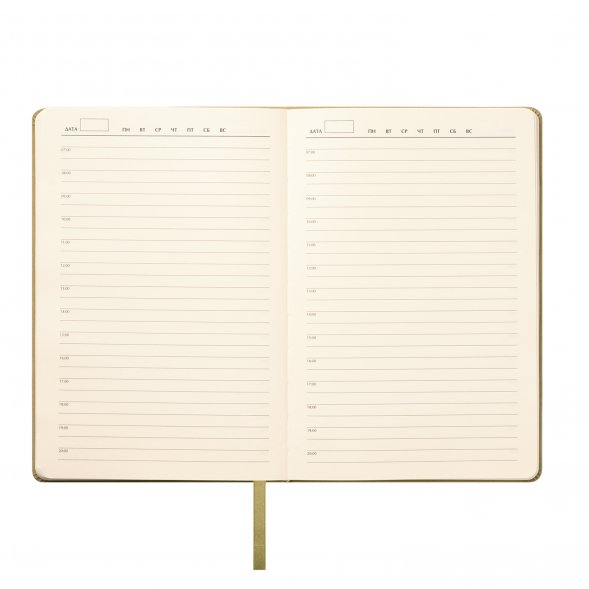 Ежедневник Stella недатированный с магнитом на обложке, светло-зеленый 