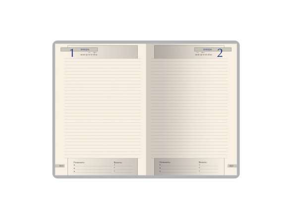 Ежедневник полудатированный А5 Windsor, черный 