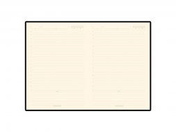 Ежедневник В5 недатированный Leggenda, синий