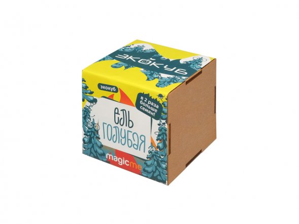 Набор для выращивания Экокуб Magicme Ель Голубая 