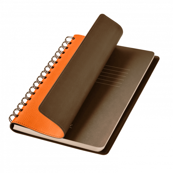 Ежедневник Vista недатированный, оранжевый/коричневый 