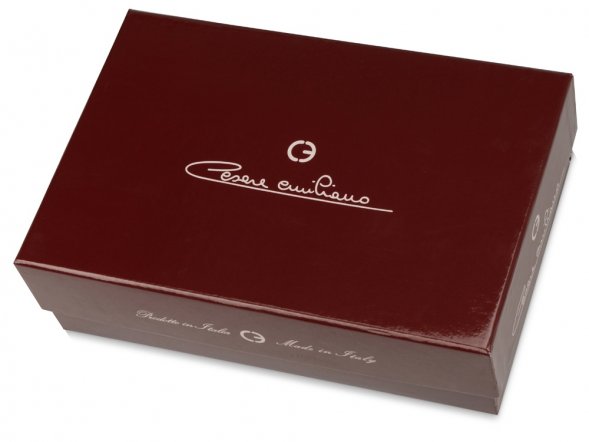 Ручка перьевая Cesare Emiliano в футляре, золотистый 