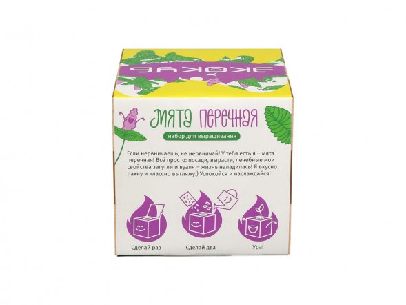Набор для выращивания Экокуб Magicme Мята 