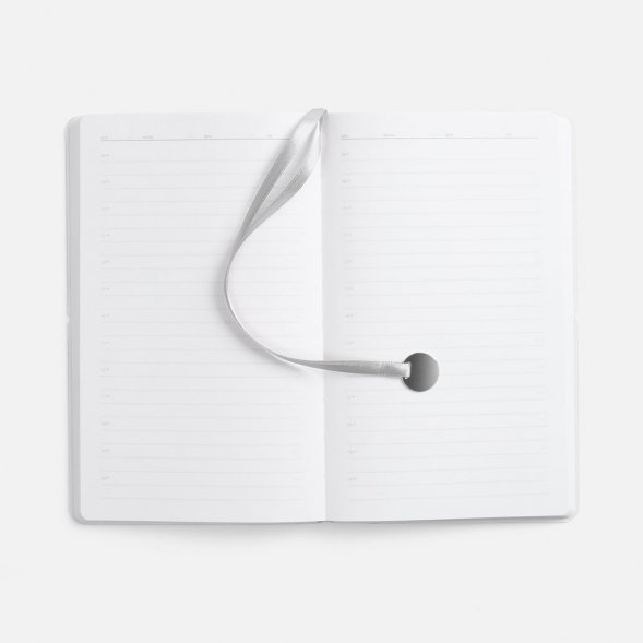 Ежедневник Waltz, недатированный, серебристый 