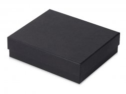 Подарочный набор c пластиковой ручкой, повербанком С2, 10000 mAh, оранжевый