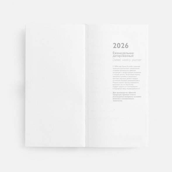 Еженедельник Baza, датированный, серый 