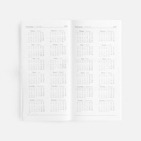 Еженедельник Baza, датированный, серый 