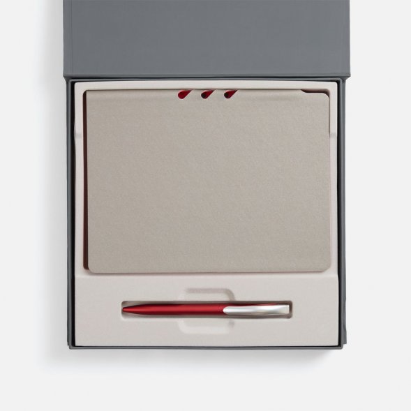 Набор Flexpen Grey, красный 