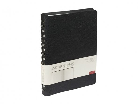 Ежедневник полудатированный А5 Orbit, черный 