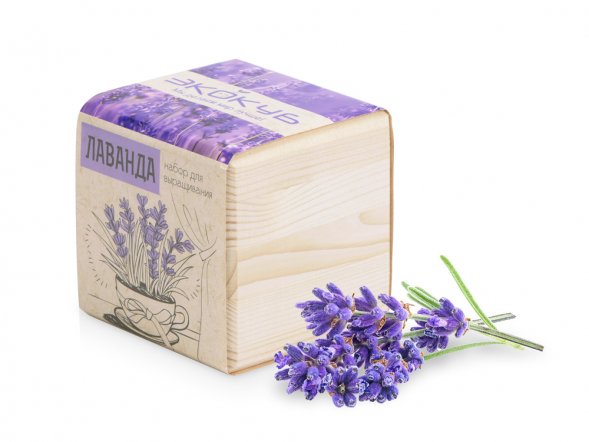 Набор для выращивания Экокуб Classic Лаванда 