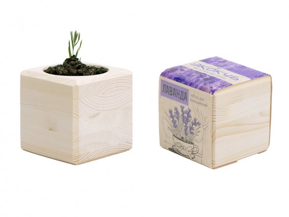 Набор для выращивания Экокуб Classic Лаванда 