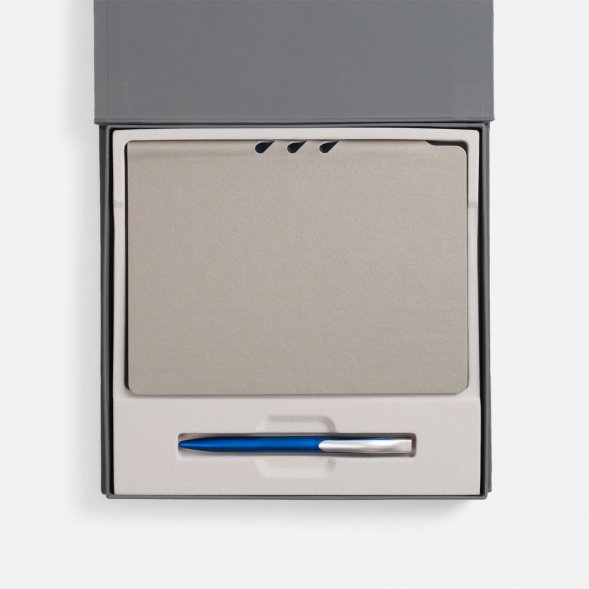 Набор Flexpen Grey, синий 