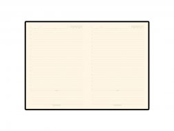 Ежедневник В5 недатированный Leggenda, коричневый