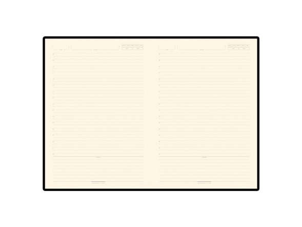 Ежедневник В5 недатированный Leggenda, коричневый 