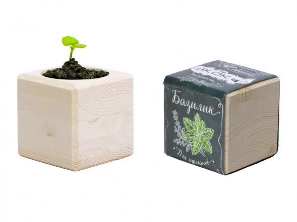 Набор для выращивания Экокуб Classic Базилик 