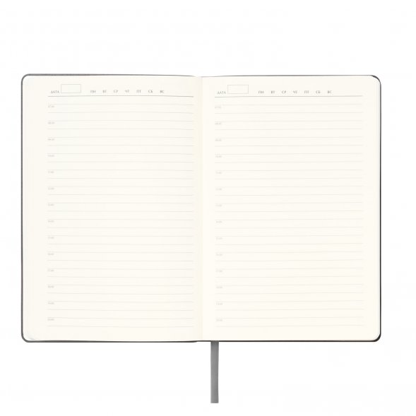 Ежедневник Spark недатированный, серый (с упаковкой, со стикерами) 