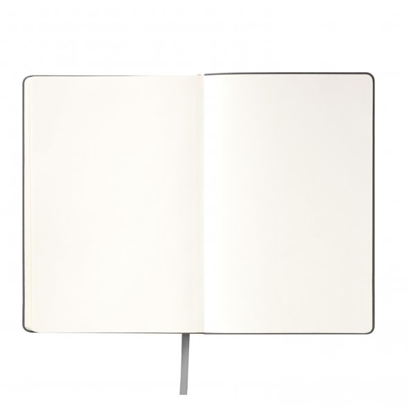 Ежедневник Spark недатированный, серый (с упаковкой, со стикерами) 