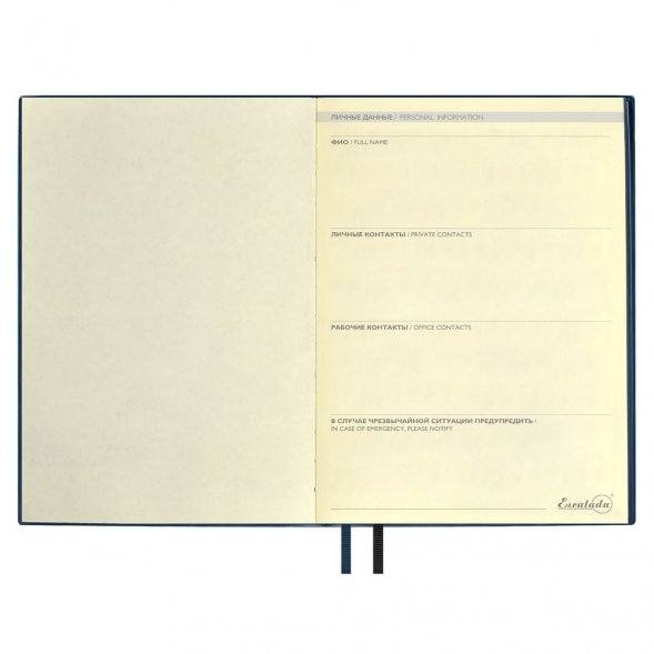 Ежедневник Avila, недатированный, синий 