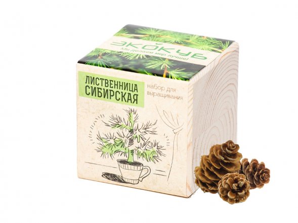 Набор для выращивания Экокуб Classic Лиственница Сибирская 