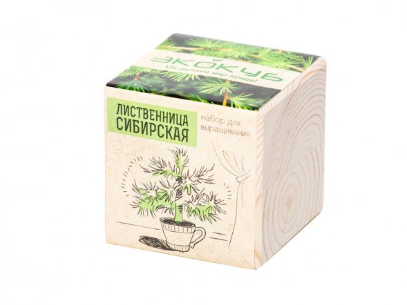 Набор для выращивания Экокуб Classic Лиственница Сибирская 