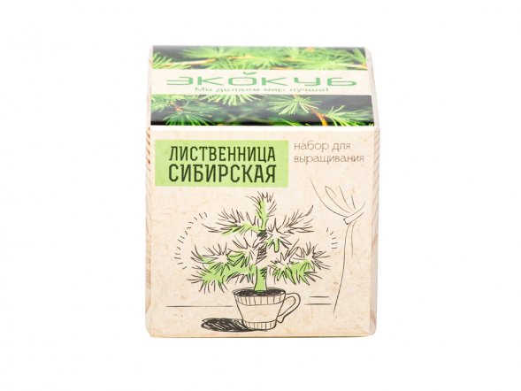 Набор для выращивания Экокуб Classic Лиственница Сибирская 
