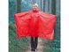 Дождевик в чехле, единый размер 