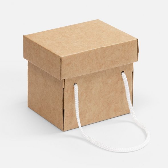 Набор Forestour 