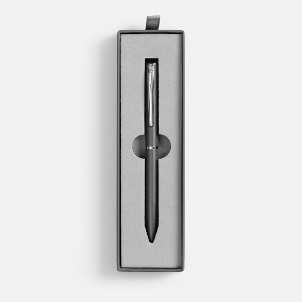 Ручка шариковая Ringa в футляре, серая 