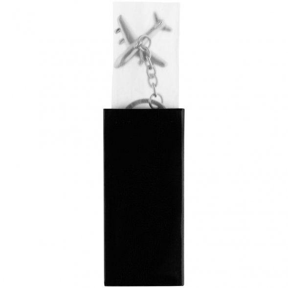 Брелок Aviator 